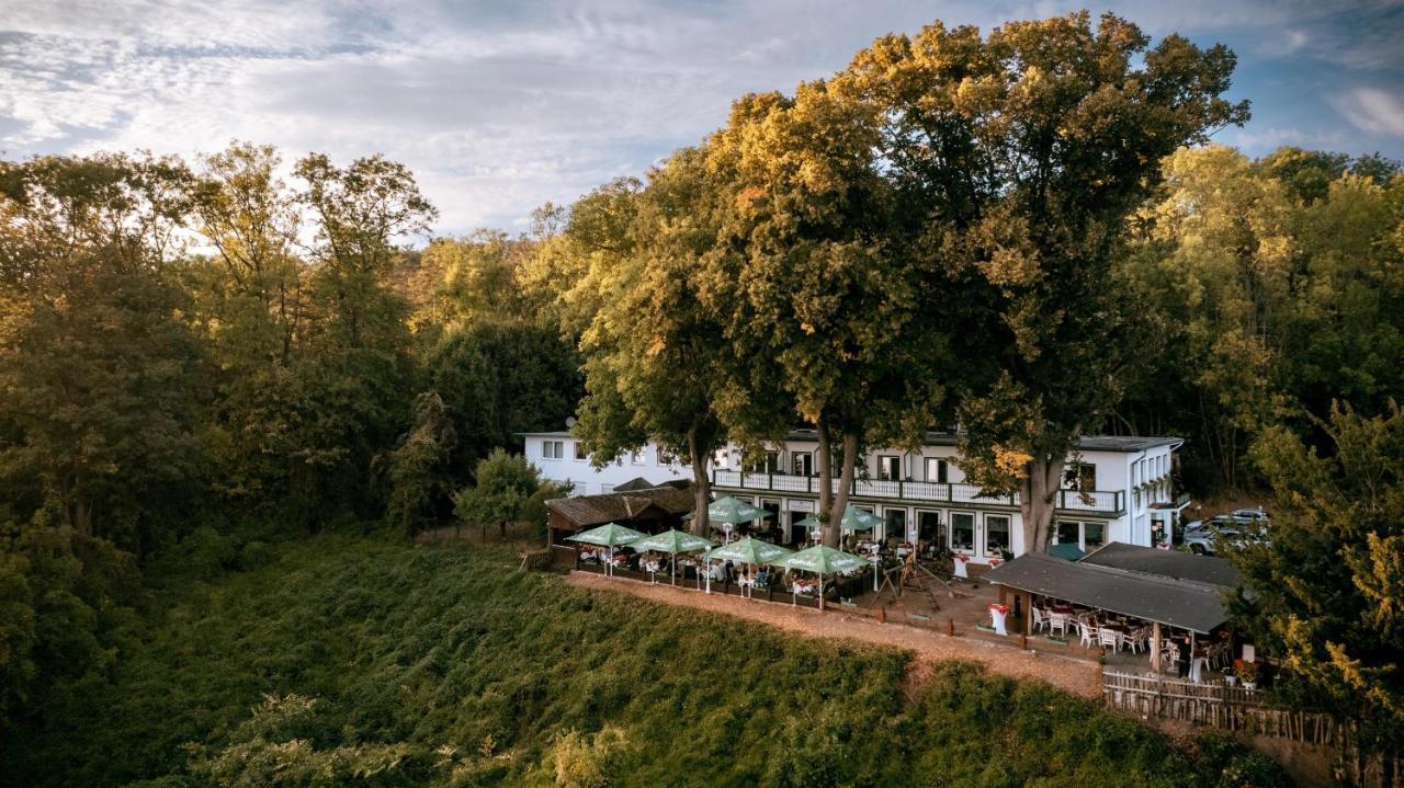 Hotel Hasenjaeger 아인벡 외부 사진